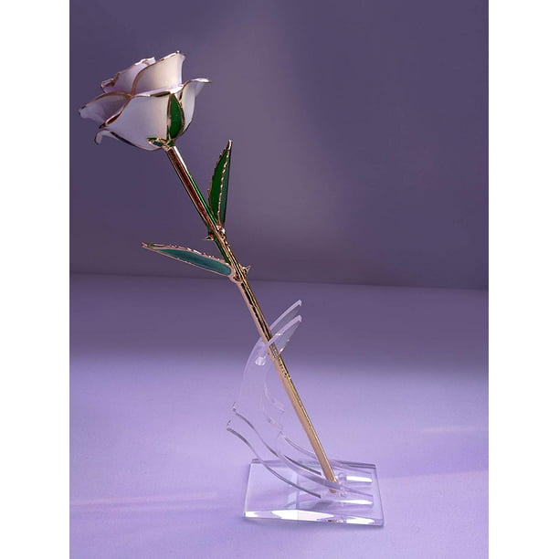 24K Gold Rose Forever Roses Flower with Beautiful Transparent Acrylic Display Stand 